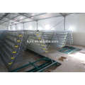 Sincerity design high-quality egg quail cages for Nigeria